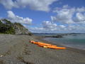 Bay of Islands - Kayaking