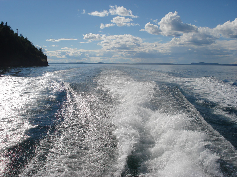 boat wake on way to whales - we were moving