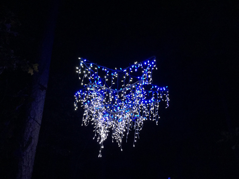 Garvan Woodland Gardens Christmas Light Display 5