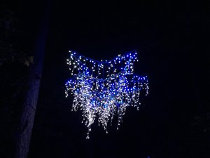 Garvan Woodland Gardens Christmas Light Display 5