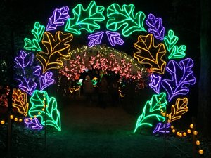Garvan Woodland Gardens Christmas Light Display 7