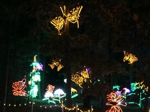 Garvan Woodland Gardens Christmas Light Display 8