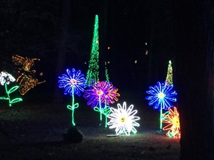 Garvan Woodland Gardens Christmas Light Display 10