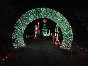 Garvan Woodland Gardens Christmas Light Display 11
