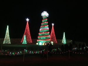 Garvan Woodland Gardens Christmas Light Display 12