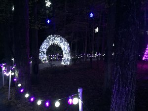 Garvan Woodland Gardens Christmas Light Display 13