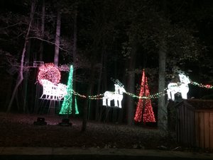 Garvan Woodland Gardens Christmas Light Display 17