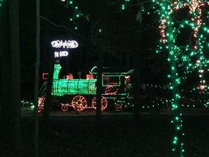 Garvan Woodland Gardens Christmas Light Display 18