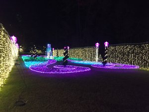 Garvan Woodland Gardens Christmas Light Display 19