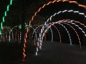 Garvan Woodland Gardens Christmas Light Display 20