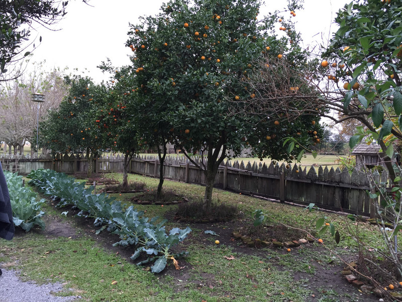 Laura Plantation Garden and Orchard