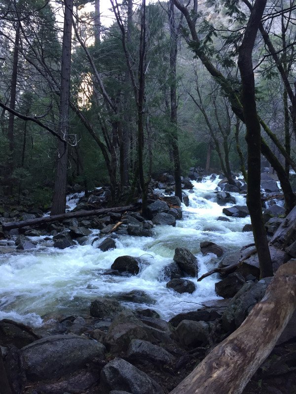 Yosemite - Roaring Stream