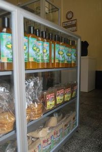 soy products in the shop run by Grupo Santa Maria
