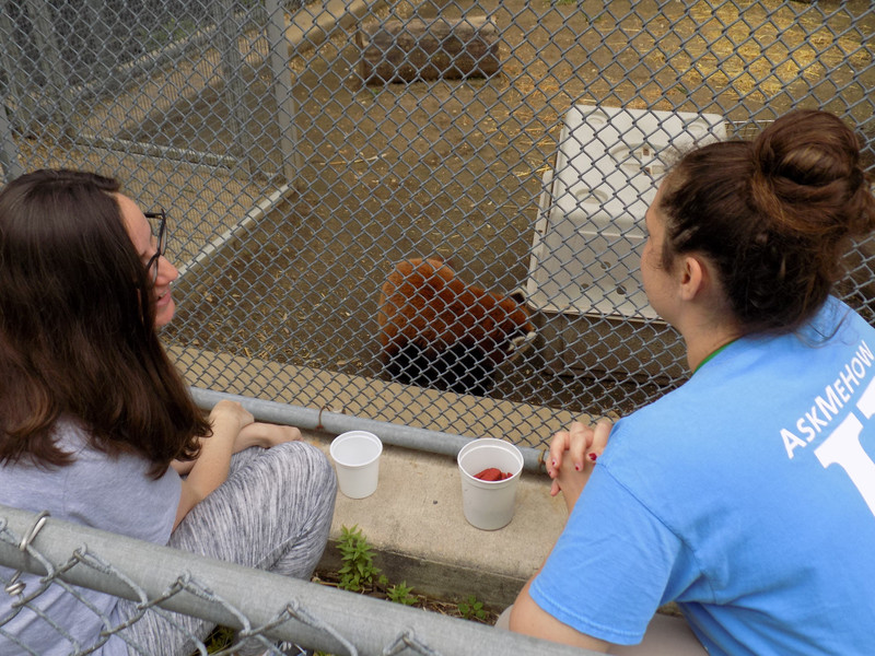 Zoo Keeper Christina speaking with me (featuring Khumbie)