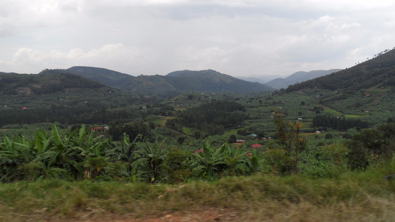The beautiful rural views from Mbarara to Rugazi