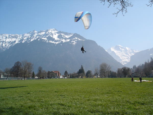 Paragliders landing