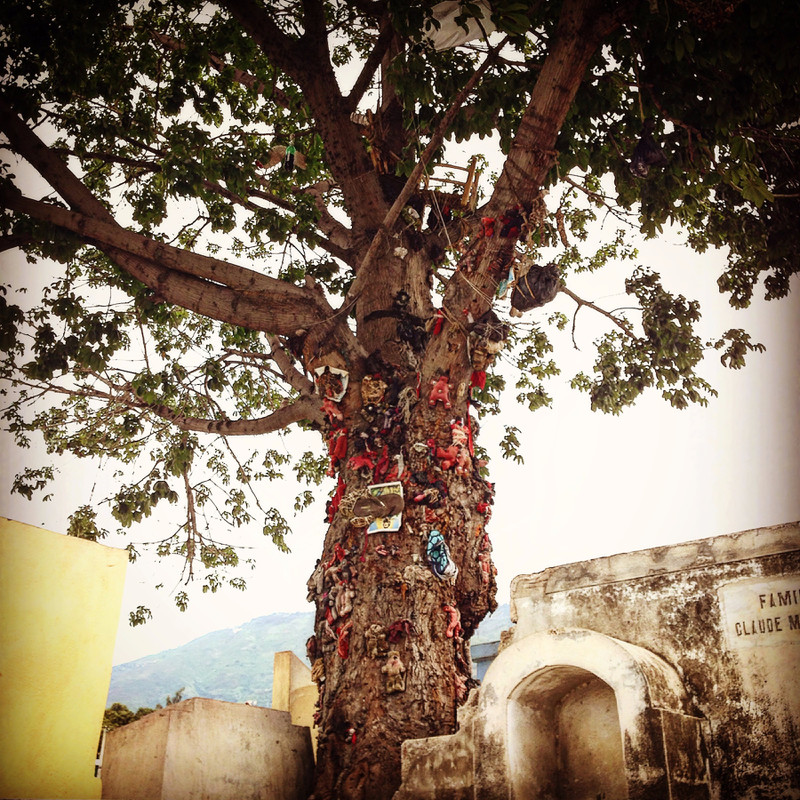 Les gens attachent des objets à cet arbre pour faire des demandes aux Lwas vaudous