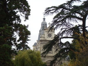 Blois cathedrale