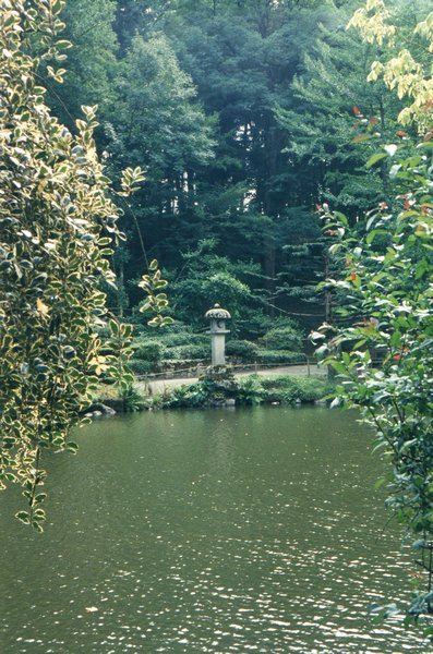 oriental japanes garden Maulevrier