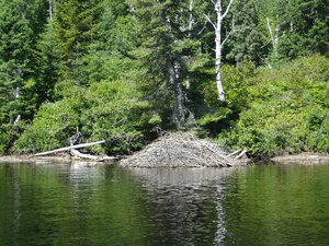 Mauricie pourvoirie du triton Quebec jul 2012 142