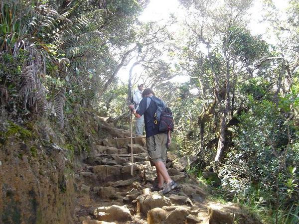 Climbing Mt. Kinabalu