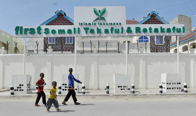 Somali Insurance company