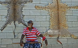tiger skin mogadishu somalia