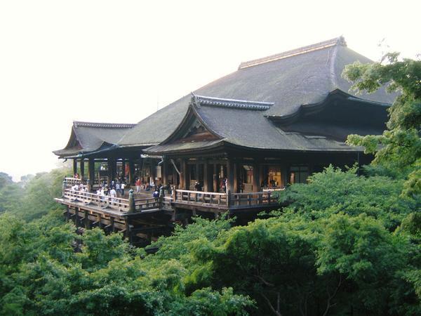 Treetops and temple