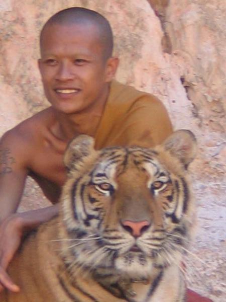 Monk and Tiger