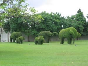 The Palace Elephants