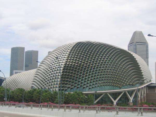 Hedgehog Building