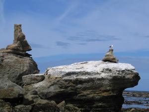 The Gull and his Rock