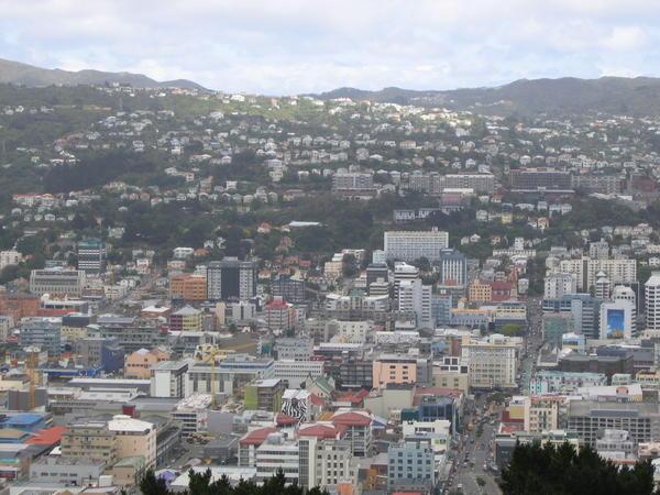Wellington View
