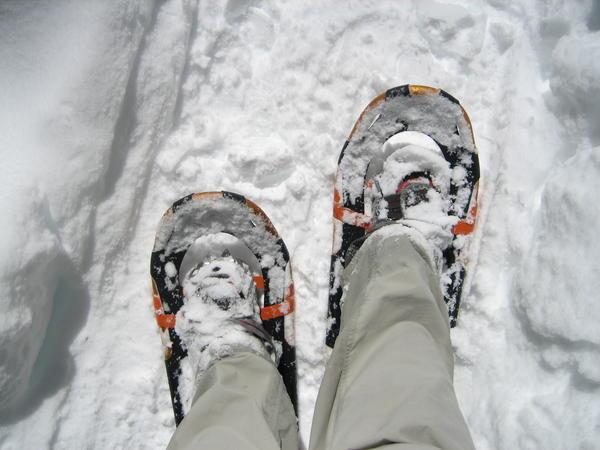 Snowshoes