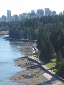 Stanley Park and the City