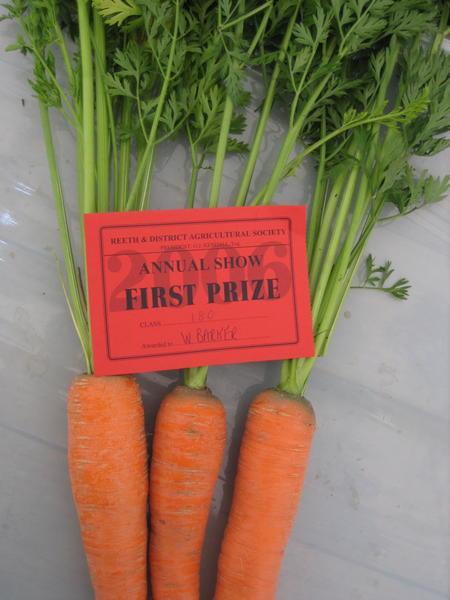 Prize Carrots