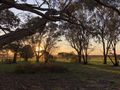 sunset at the farm 