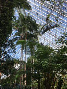 in the glasshouse 