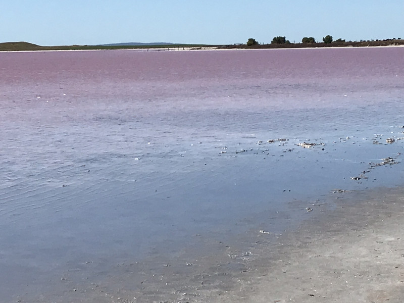Meningie Pink Lake 