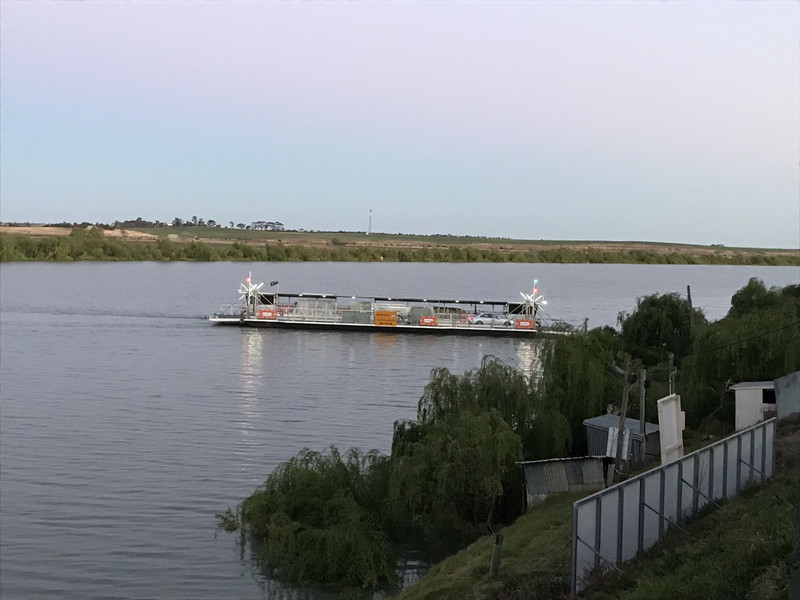 Wellington ferry across River Murray