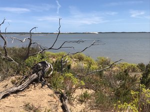 The Coorong 