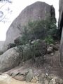 huge rocks 