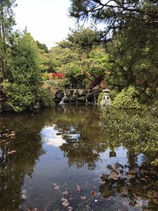The wonderful Japanese garden 