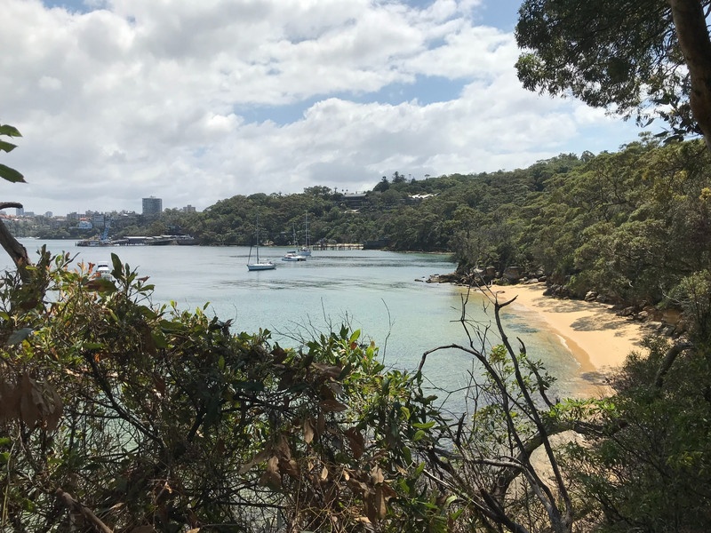 Sydney’s Northern coves