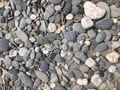 Beautiful pebbles 