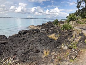 A walk on the foreshore , Rangitoto 