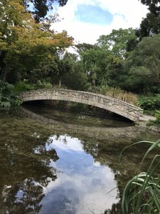 Botanic Gardens , Christchurch h