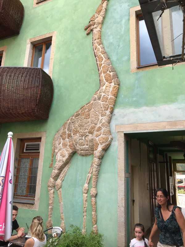 Coffee stop with giraffes 