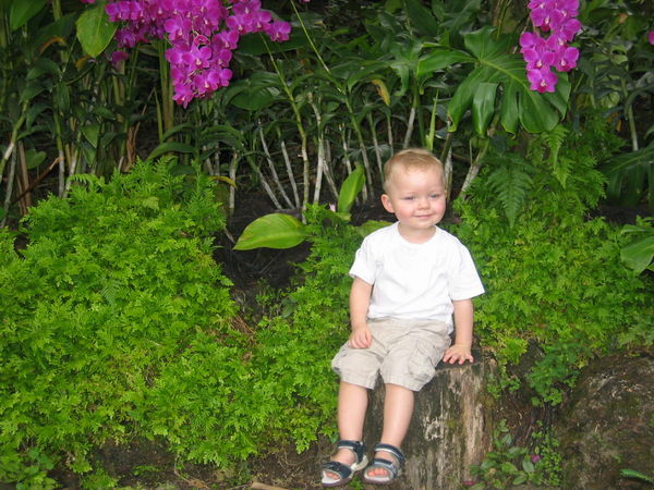 Cameron with the Orchids