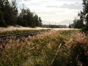 Railway track at Byron
